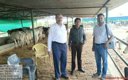सीतापुर में लंपी वायरस से गोवंश को बचाने की बड़ी मुहिम, गो आश्रय स्थलों में शत-प्रतिशत टीकाकरण के आदेश
