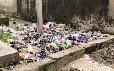 Sitapur News: काशीराम कॉलोनी में बुनियादी सुविधाओं का अभाव, दूषित पानी और गंदगी से जूझ रहे निवासी