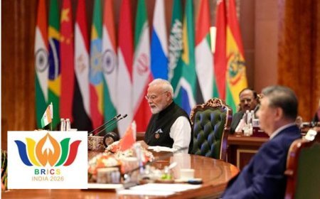 BRICS- Global Health: ब्रिक्स ने पारंपरिक चिकित्सा पर विशेषज्ञ समूह को दिया समर्थन, साक्ष्य-आधारित वैश्विक सहयोग पर जोर