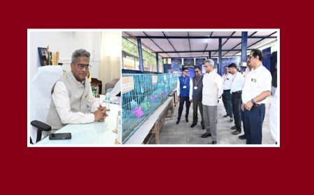 Poultry Development: डीएएचडी सचिव ने मुंबई सीपीडीओ का किया दौरा, पोल्ट्री इंफ्रास्ट्रक्चर और जैव-सुरक्षा मजबूत करने पर जोर