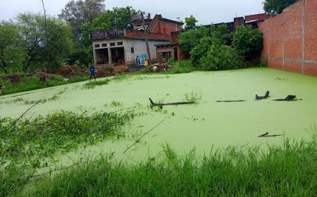 हरदोई के अरवल में बाढ़ से भारी तबाही, दर्जनों गांव जलमग्न और फसलें चौपट, पानी घटने से राहत