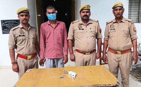 हरदोई में अवैध हथियार के खिलाफ पुलिस का एक्शन, सुरसा से 315 बोर तमंचे के साथ युवक गिरफ्तार