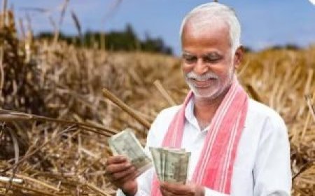UP Farmer Loan Scheme: यूपी में किसानों को 6% ब्याज पर मिलेगा 6 लाख तक का कर्ज, योगी कैबिनेट ने दी ब्याज अनुदान को मंजूरी