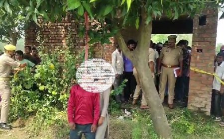 Sambhal News: सम्भल में खेत के पास आम के पेड़ से मिले युवक-युवती के शव, इलाके में मचा हड़कंप; जांच में जुटी पुलिस