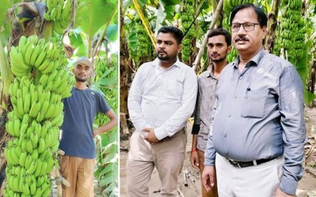 Agriculture News:  केले की खेती से भगवती प्रसाद ने लिखी सफलता की कहानी, 2.50 लाख रुपये की आय