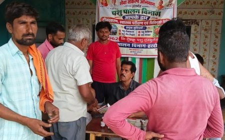 हरदोई में सेवा संकल्प अभियान: नुक्कड़ नाटकों से दिखाई जनकल्याण की गाथा, पशु स्वास्थ्य शिविर में हुआ निःशुल्क उपचार