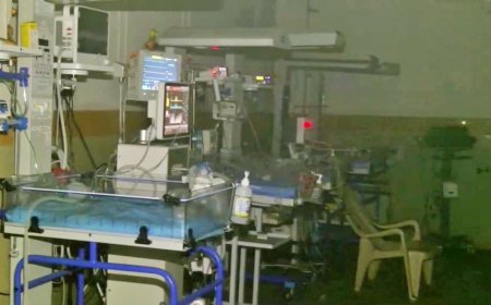 Telangana Hospital Fire: आदिलाबाद के रिम्स अस्पताल के एसएनसीयू वार्ड में लगी भीषण आग, 5 दिन के नवजात की मौत; 28 बच्चे सुरक्षित बचाए गए