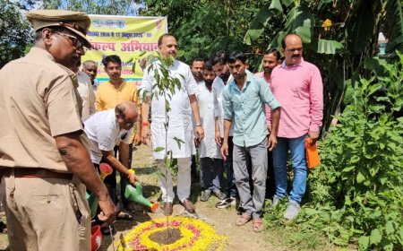 हरदोई: विधायक माधवेन्द्र प्रताप सिंह ने रोपे पौधे, प्राथमिक विद्यालय में मेधावी बच्चे सम्मानित