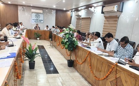 Hardoi News: निराश्रित गोवंश संरक्षण को लेकर सख्ती, प्रमुख मार्गों से गोवंशों को आश्रय स्थलों में पहुंचाने के निर्देश
