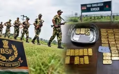 Gold Smuggling: भारत-बांग्लादेश सीमा पर DRI और BSF का बड़ा एक्शन, 17 करोड़ का 12 किलो विदेशी सोना जब्त