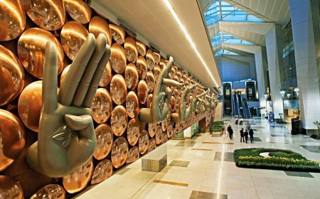 Delhi IGI Airport: काबुल जा रहे अफगान नागरिक के हैंड बैग से चंदन के 11 जार बरामद, सीआईएसएफ ने पकड़कर कस्टम को सौंपा