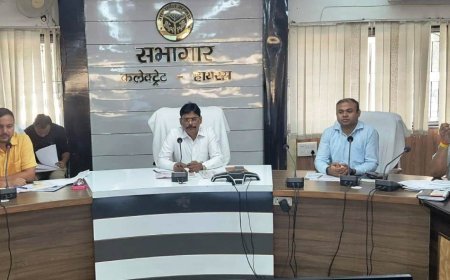 हाथरस: राजस्व वादों में देरी पर डीएम सत्य प्रकाश पटेल सख्त, लापरवाही पर तय होगी जिम्मेदारी