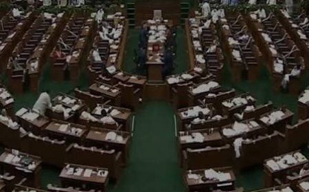 Karnataka Politics: कर्नाटक विधानसभा में आपस में भिड़े सत्ताधारी कांग्रेस के दो विधायक, महिला विधायक ने दी खुली चेतावनी