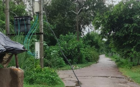 Naimisharanya News: दहिलरा गांव में सड़क पर झूलता बिजली का तार, हादसे की आशंका; ग्रामीणों ने की तत्काल कार्रवाई की मांग