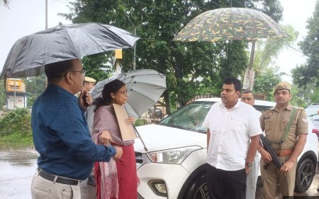 सीतापुर डीएम ने किया बड़ी मालियत के लेखपत्र का स्थलीय निरीक्षण, दिए निर्देश