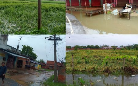 UP Weather: 36 घंटे से आफत की बारिश: पानी में डूबीं धान और मूंगफली की फसलें, जनजीवन पूरी तरह अस्त-व्यस्त