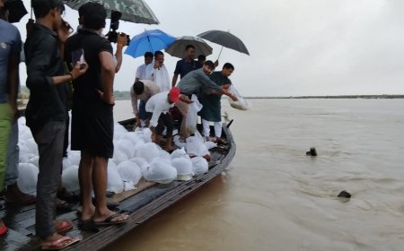 Hardoi News: गंगा संरक्षण की बड़ी पहल- नदी में छोड़ी गईं एक लाख मत्स्य अंगुलिकाएं
