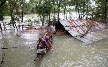 UP Heavy Rain Alert: उत्तर प्रदेश में मूसलाधार बारिश से हाहाकार, 60 घंटों में 56 की मौत और 1000 से अधिक मकान क्षतिग्रस्त; राहत कार्य युद्धस्तर पर
