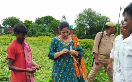 बहराइच में भारी बारिश से फसलें तबाह: खेतों में उतरीं एसडीएम, नुकसान का लिया जायजा