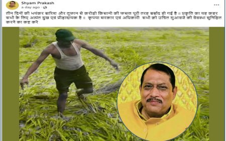 हरदोई: बारिश-तूफान से फसलों की बर्बादी पर बोले विधायक श्यामप्रकाश, मुआवजे की मांग रखी