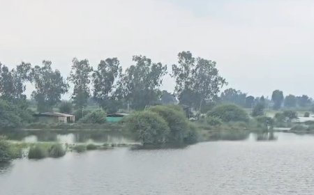 हरदोई में उफनाई नदियां और चक्रवाती बारिश से संकट: जमीन पर उतरे प्रशासनिक अधिकारी, मोटर बोट तैनात और राहत शिविर सक्रिय