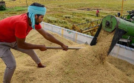 खेत से वैश्विक बाजार तक पहुंचेगी अन्नदाता की उपज: ट्रेड शो में किसानों को मिले ब्रांडिंग, पैकेजिंग और ऑनलाइन बिक्री के नए रास्ते