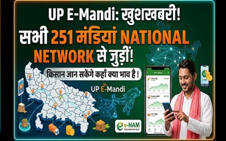 UP E-Mandi: यूपी की सभी 251 मंडियां राष्ट्रीय नेटवर्क से जुड़ीं, किसान जान सकेंगे कहां क्या भाव
