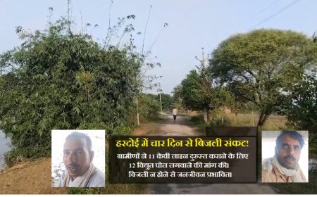 Hardoi News: बारिश के बाद गुल हुई बिजली, चार दिन से अंधेरे में नाऊपुरवा समेत तीन गांव,12 पोल लगवाने की मांग
