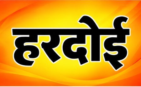 राज्य स्तरीय स्कूल जूडो में हरदोई का जलवा: अंश गुप्ता ने जीता कांस्य पदक, साथी खिलाड़ियों का भी शानदार प्रदर्शन