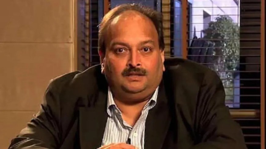 Mehul Choksi Extradition: भगोड़ा हीरा कारोबारी मेहुल चोकसी लाया जाएगा भारत, बेल्जियम सरकार के साथ वार्ता में बने सकारात्मक संकेत 