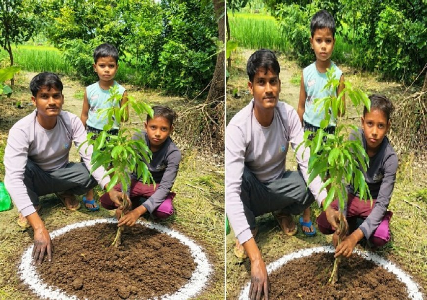 Hardoi News: अंतर्राष्ट्रीय युवा पर्वतारोही अभिनीत मौर्य ने जन्मदिन पर किया वृक्षारोपण, दिया पर्यावरण संरक्षण का संदेश 