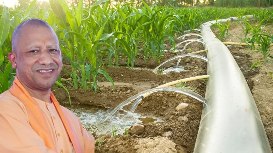 Bundelkhand Water Project: बुंदेलखंड में इजराइली तकनीक से बदलेगी खेती, झांसी के गंगावली में 'वाटर बजटिंग' मॉडल पर काम शुरू