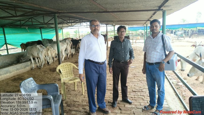 सीतापुर में लंपी वायरस से गोवंश को बचाने की बड़ी मुहिम, गो आश्रय स्थलों में शत-प्रतिशत टीकाकरण के आदेश