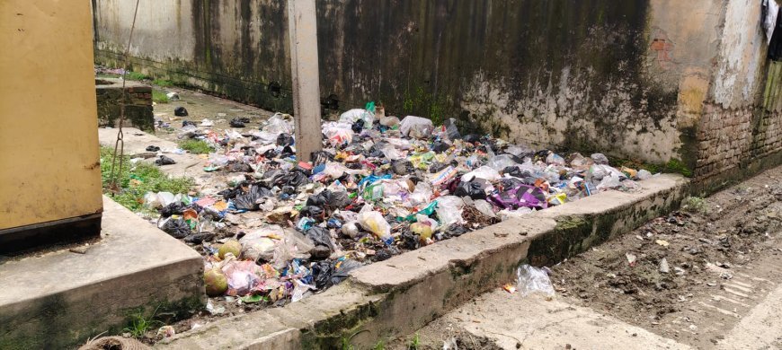 Sitapur News: काशीराम कॉलोनी में बुनियादी सुविधाओं का अभाव, दूषित पानी और गंदगी से जूझ रहे निवासी