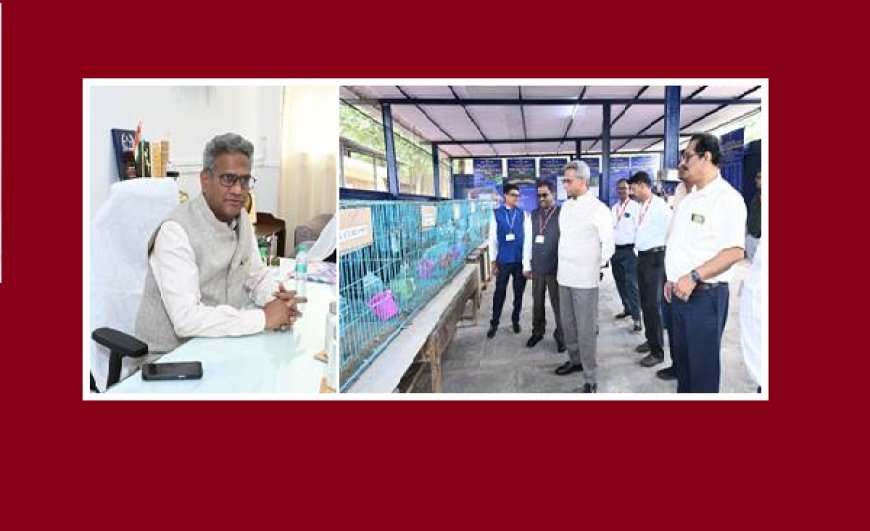 Poultry Development: डीएएचडी सचिव ने मुंबई सीपीडीओ का किया दौरा, पोल्ट्री इंफ्रास्ट्रक्चर और जैव-सुरक्षा मजबूत करने पर जोर