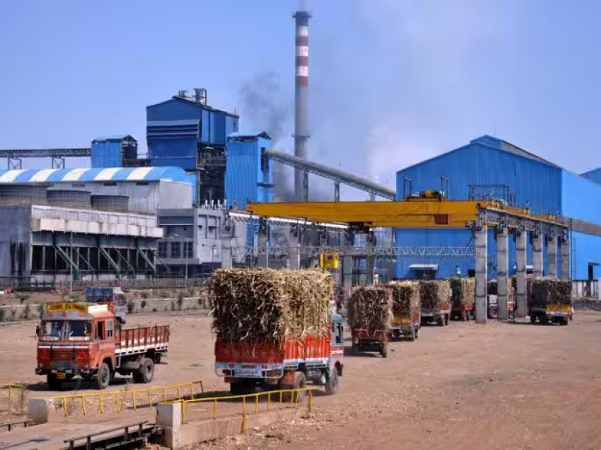 UP Sugarcane Payment: यूपी में 102 चीनी मिलों ने किया शत-प्रतिशत भुगतान, पेराई सत्र 2025-26 में 94.86 फीसदी बकाया निपटा