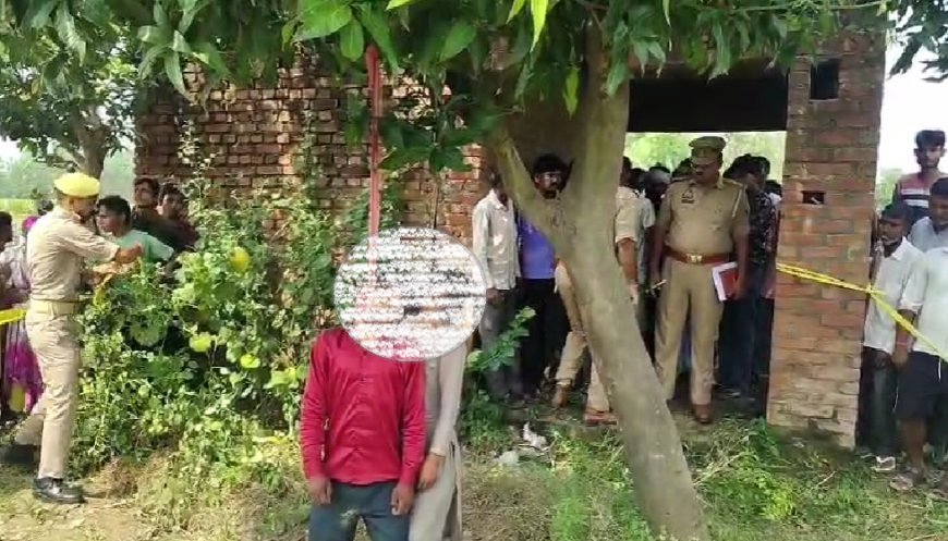 Sambhal News: सम्भल में खेत के पास आम के पेड़ से मिले युवक-युवती के शव, इलाके में मचा हड़कंप; जांच में जुटी पुलिस