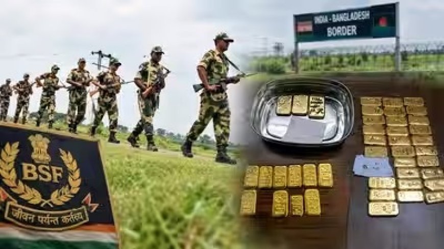 Gold Smuggling: भारत-बांग्लादेश सीमा पर DRI और BSF का बड़ा एक्शन, 17 करोड़ का 12 किलो विदेशी सोना जब्त