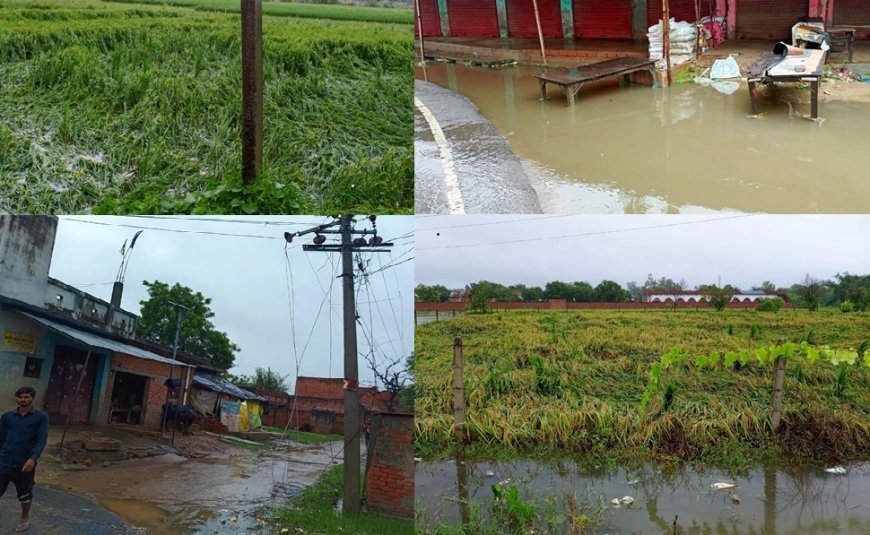 UP Weather: 36 घंटे से आफत की बारिश: पानी में डूबीं धान और मूंगफली की फसलें, जनजीवन पूरी तरह अस्त-व्यस्त
