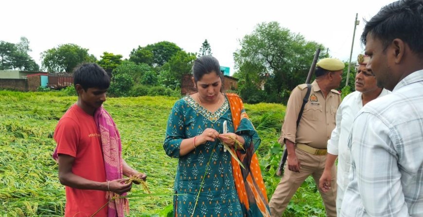 बहराइच में भारी बारिश से फसलें तबाह: खेतों में उतरीं एसडीएम, नुकसान का लिया जायजा