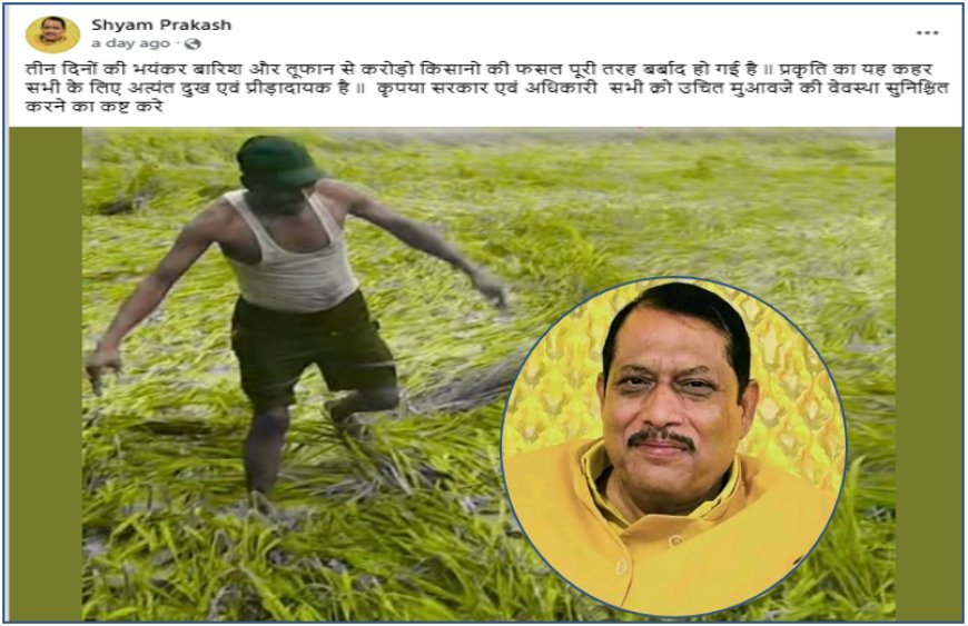 हरदोई: बारिश-तूफान से फसलों की बर्बादी पर बोले विधायक श्यामप्रकाश, मुआवजे की मांग रखी
