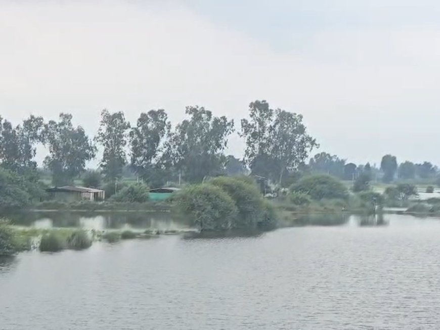 हरदोई में उफनाई नदियां और चक्रवाती बारिश से संकट: जमीन पर उतरे प्रशासनिक अधिकारी, मोटर बोट तैनात और राहत शिविर सक्रिय