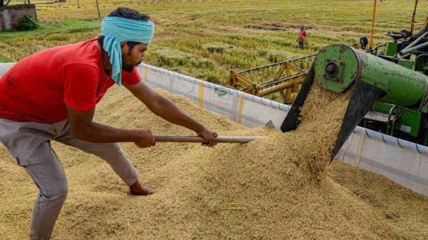खेत से वैश्विक बाजार तक पहुंचेगी अन्नदाता की उपज: ट्रेड शो में किसानों को मिले ब्रांडिंग, पैकेजिंग और ऑनलाइन बिक्री के नए रास्ते