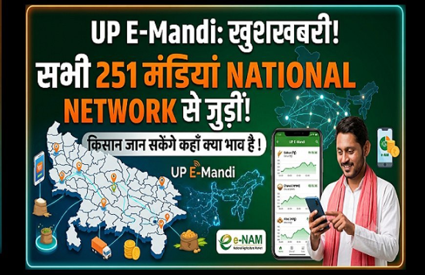 UP E-Mandi: यूपी की सभी 251 मंडियां राष्ट्रीय नेटवर्क से जुड़ीं, किसान जान सकेंगे कहां क्या भाव