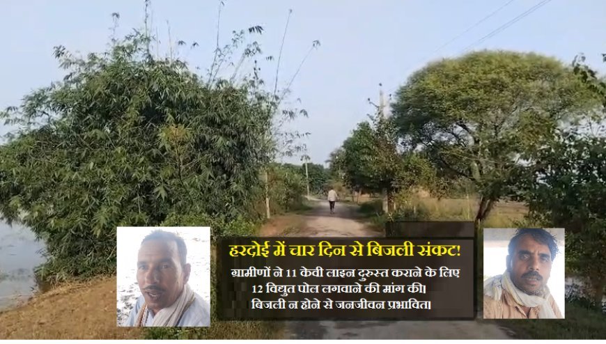 Hardoi News: बारिश के बाद गुल हुई बिजली, चार दिन से अंधेरे में नाऊपुरवा समेत तीन गांव,12 पोल लगवाने की मांग