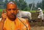 यूपी के 9.18 लाख किसानों को बड़ा आर्थिक सहारा, योगी आदित्यनाथ हस्तांतरित करेंगे 493 करोड़ की मुआवजा राशि