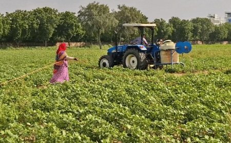 यूपी के किसानों के लिए मौसम आधारित एडवाइजरी जारी, फसलों में यूरिया के इस्तेमाल से बचने की सलाह