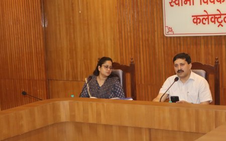 हरदोई: डीएलआरसी बैठक में बैंकों के खराब प्रदर्शन पर भड़के डीएम, लोन आवेदन लटकाने पर 1 हफ्ते का अल्टीमेटम