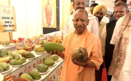 विदेशों में बढ़ी यूपी के आम की मांग: 5 वर्षों में 90 हजार क्विंटल का बंपर निर्यात, चौसा और दशहरी बने पहली पसंद