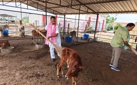 Hardoi News: सेवा संकल्प अभियान- विधायक माधवेन्द्र प्रताप सिंह ने गोआश्रय स्थल में किया पौधरोपण, चलाया स्वच्छता अभियान